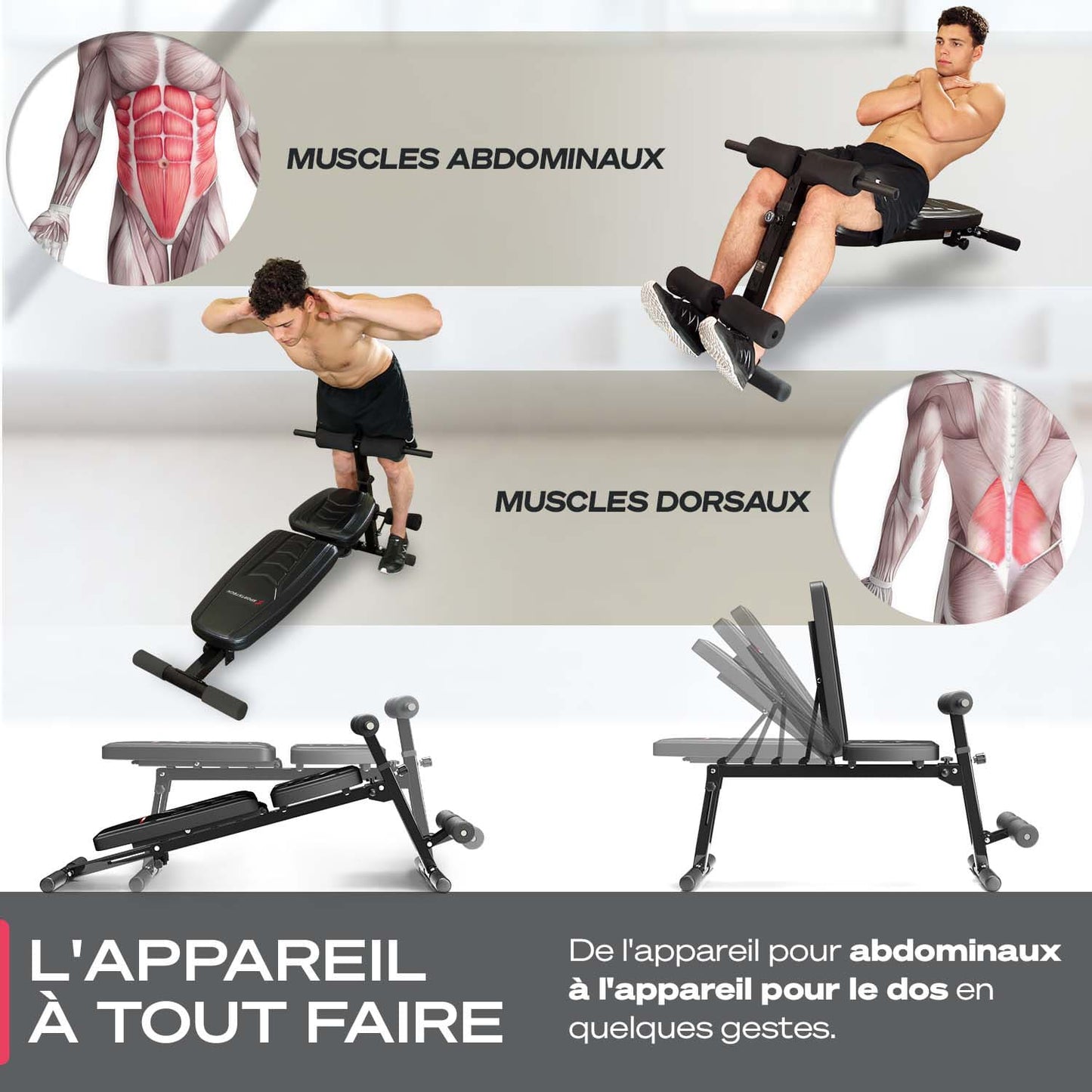 Banc de musculation EvoFit